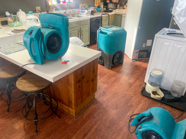 Best 24-hour water damage restoration  in Palo Alto, CA