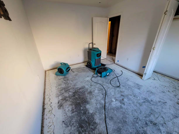 Best Water damage restoration near me  in Palo Alto, CA