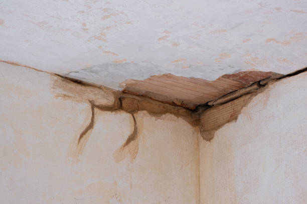 Best Local water damage restoration  in Palo Alto, CA
