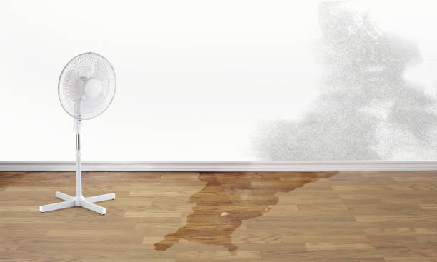 Best Flood restoration services  in Palo Alto, CA