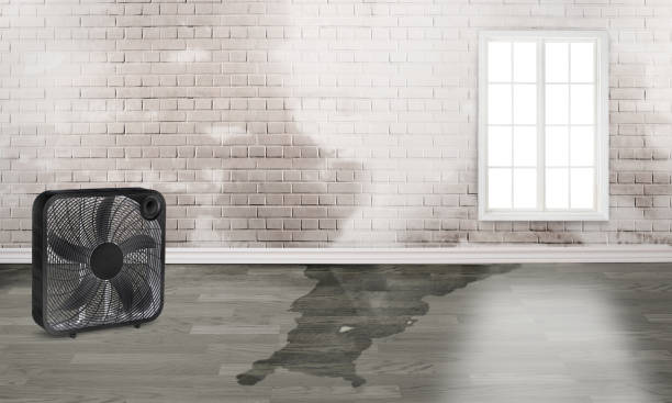 Best Commercial water damage restoration  in Palo Alto, CA