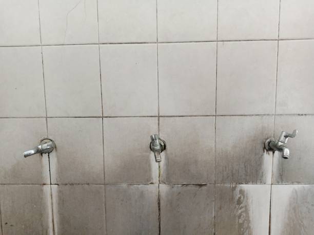 Best Flood damage cleanup  in Palo Alto, CA