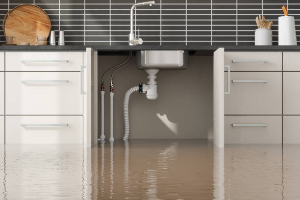 Best Residential water damage restoration  in Palo Alto, CA