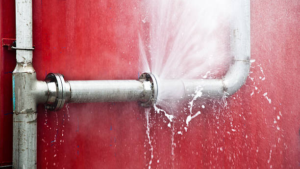 Best Ceiling water damage repair  in Palo Alto, CA